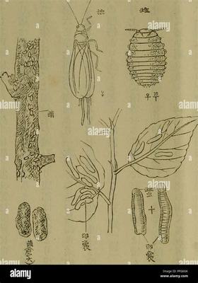 黑河網(wǎng)絡(luò)游戲怎么掙錢